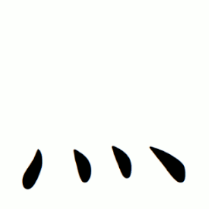 灬 Writing order